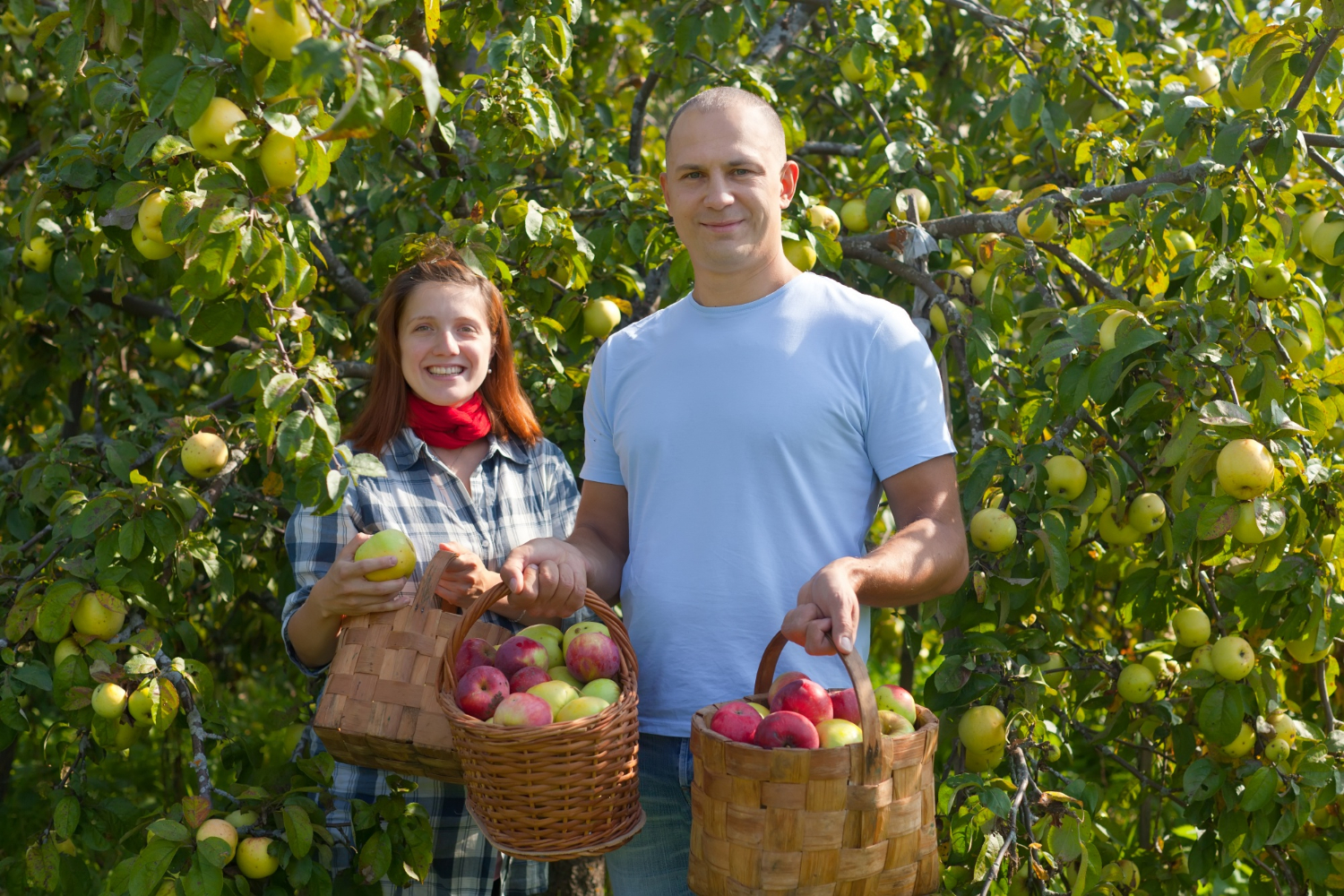 Orchard Robotics: Treat Every Tree Like a Pet With AI